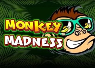  Monkeys madness slots